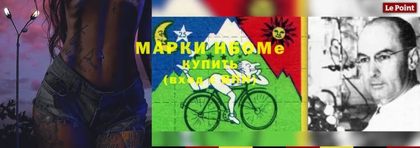 амф Корсаков