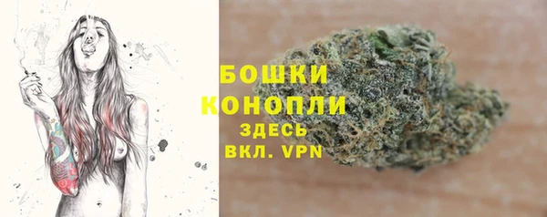 твердый Краснослободск