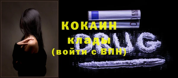 твердый Краснослободск