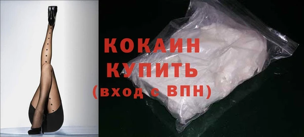 твердый Краснослободск