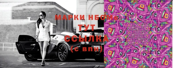 твердый Краснослободск