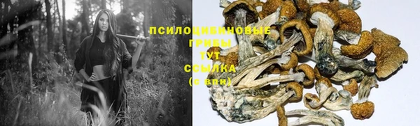 твердый Краснослободск